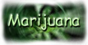 blurred title of Marijuana